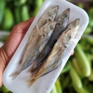 ikan asin japuh 1 pack segar cikfresh