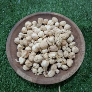Kapulaga: Rempah Multifungsi untuk Masakan Sehat & Lezat | Cikfresh