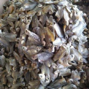 Ikan Asin Sepat: Lauk Gurih Segar No1 dari Cikfresh