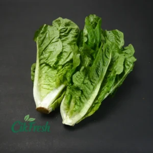 elada Keriting Segar untuk Salad dan Hidangan Premium dari Cikfresh Cikarang
