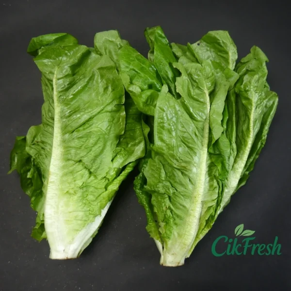 elada Keriting Segar untuk Salad dan Hidangan Premium dari Cikfresh Cikarang