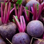 Buah Bit Segar Merah untuk Jus dan Makanan Sehat dari Cikfresh Cikarang