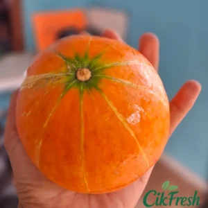 Labu Jepang Kabocha segar dari Cikfresh Cikarang