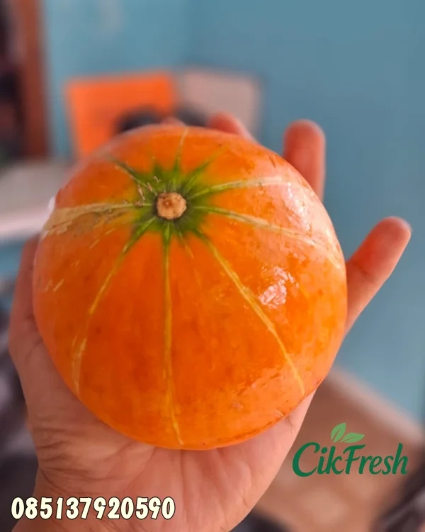 Labu Jepang Kabocha segar dari Cikfresh Cikarang