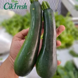Zukini segar premium dari Cikfresh Cikarang