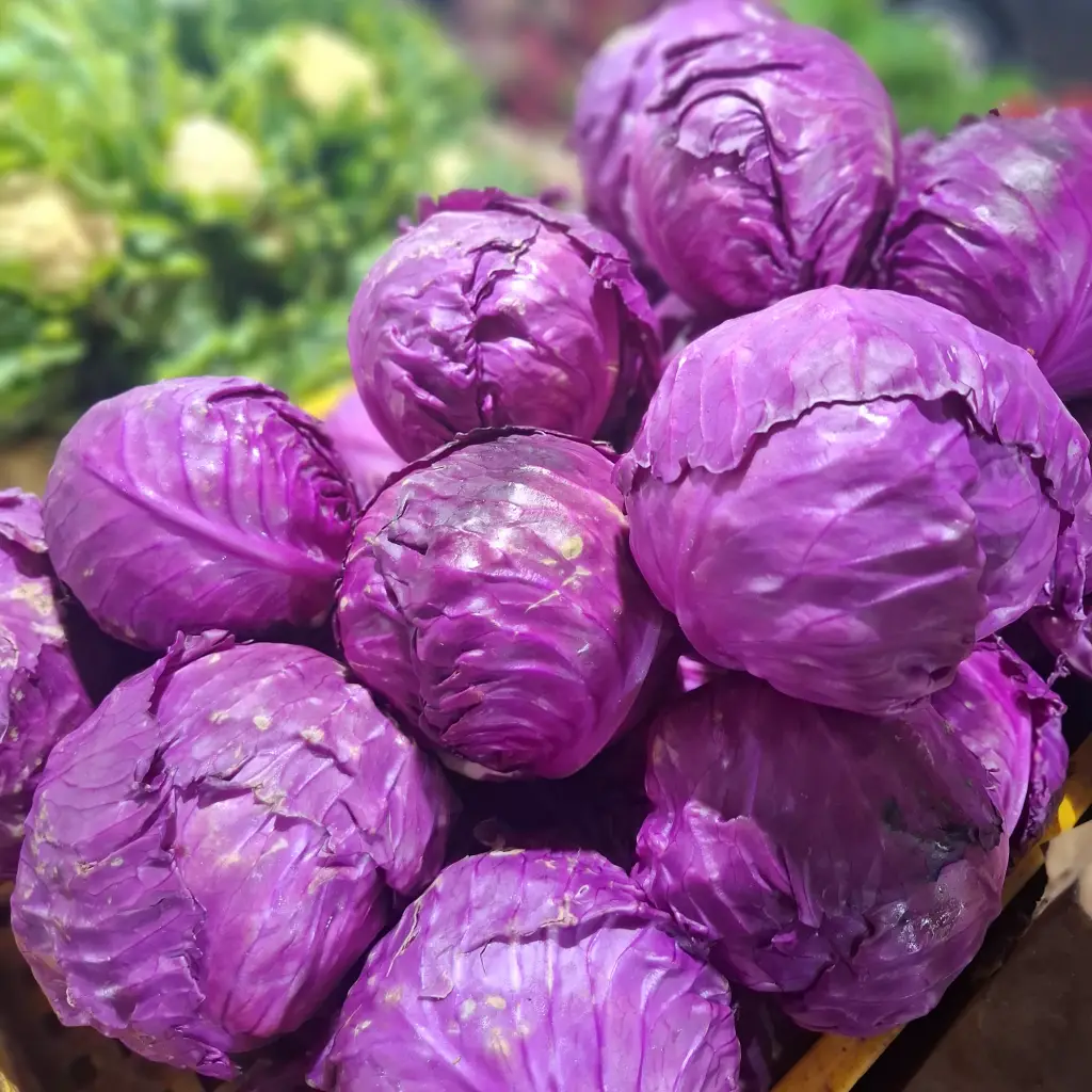 Kol Ungu: Si Ungu Kaya Manfaat & Resep Lezat 1 kol ungu segar cikfresh cikarang