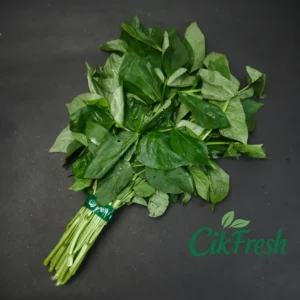 daun kacang segar cikarang