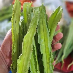 kecipir sayur cikarang