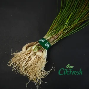 Angkio / Kucay 1 Ikat 250g: Rahasia Sedap Mie Ayam & Bakso