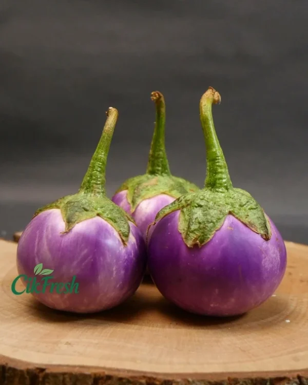 terong bulat ungu (terong gelatik) Cikarang Cikfresh