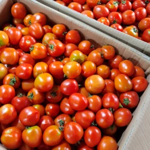 Belanja Sayur Online di Cikarang & Bekasi 7 Tomat Segar