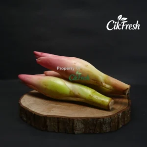 kecombrang 500g cikarang cikfresh