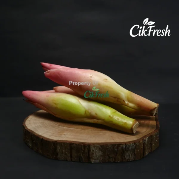 kecombrang 500g cikarang cikfresh