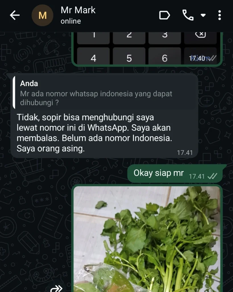 Belanja Sayur Online di Cikarang & Bekasi 17 3