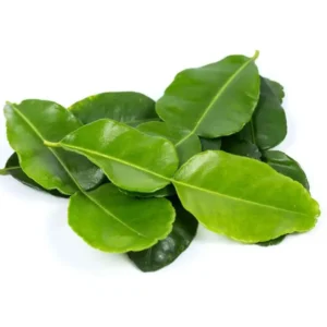 daun jeruk purut 250g segar cikfresh