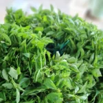 daun kemangi 1 ikat segar cikfresh