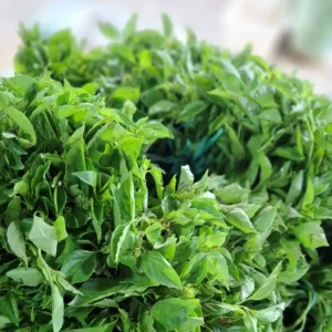 daun kemangi 1 ikat segar cikfresh