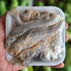 ikan asin kepala batu 250gr gurih cikfresh