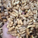 Kacang Tanah 1kg: 7 Manfaat Wajib Si Gurih buat Kesehatan!