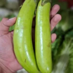 terong hijau panjang 1kg