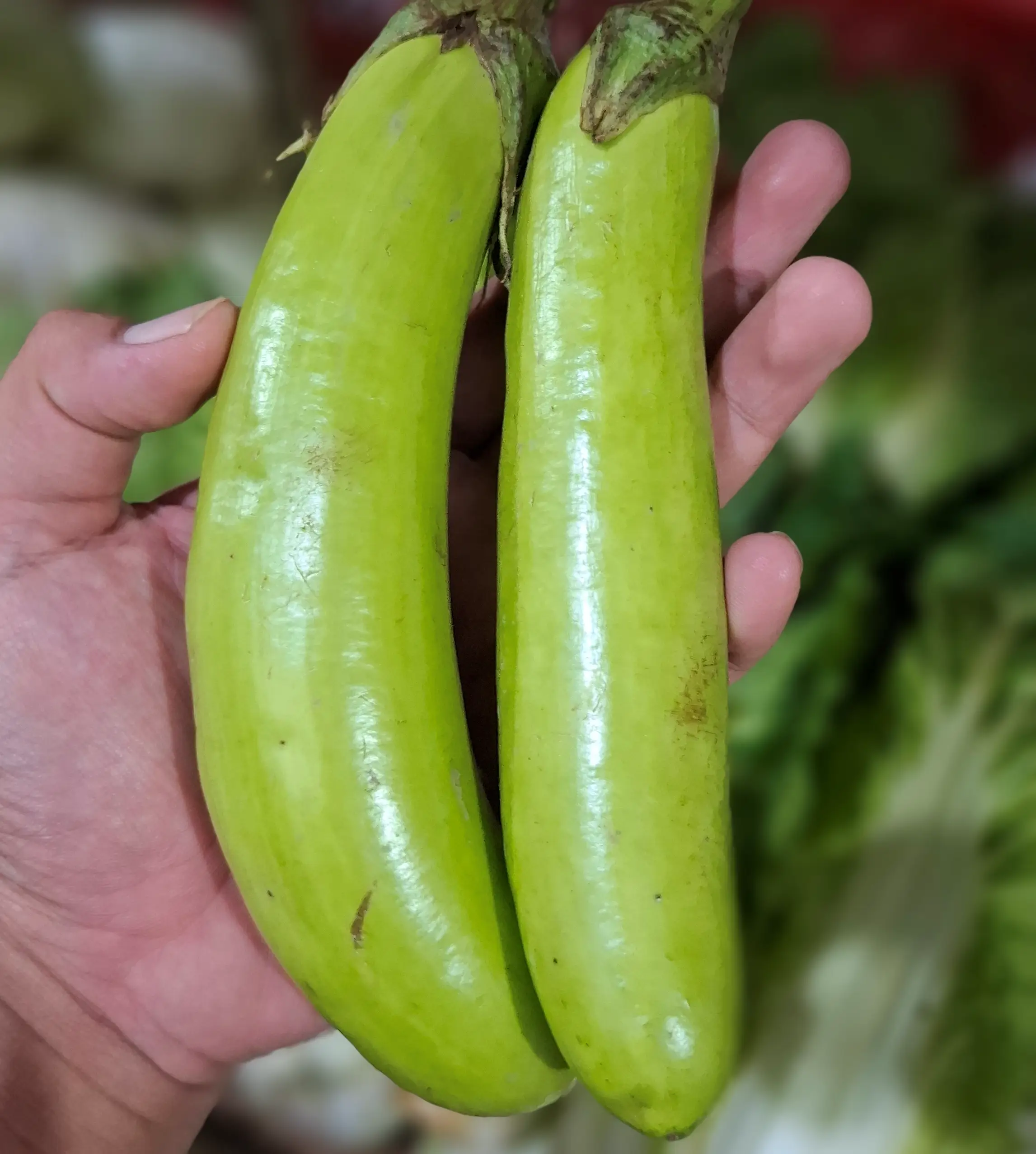 Terong Hijau Panjang 1kg: 5 Rahasia Sayur Serbaguna yang Wajib Ada di Dapur! 1 terong hijau panjang 1kg