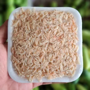 udang rebon 250grgurih cikfresh