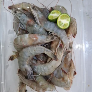 Udang Vaname 500g: 7 Manfaat Wajib Si Manis buat Kesehatan!