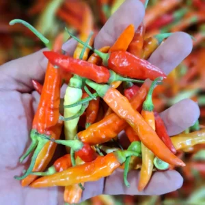 cabe rawit merah burga 1kg cikfresh