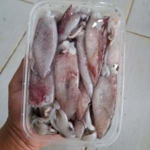 Cumi-cumi segar 500gr - Promo terbatas