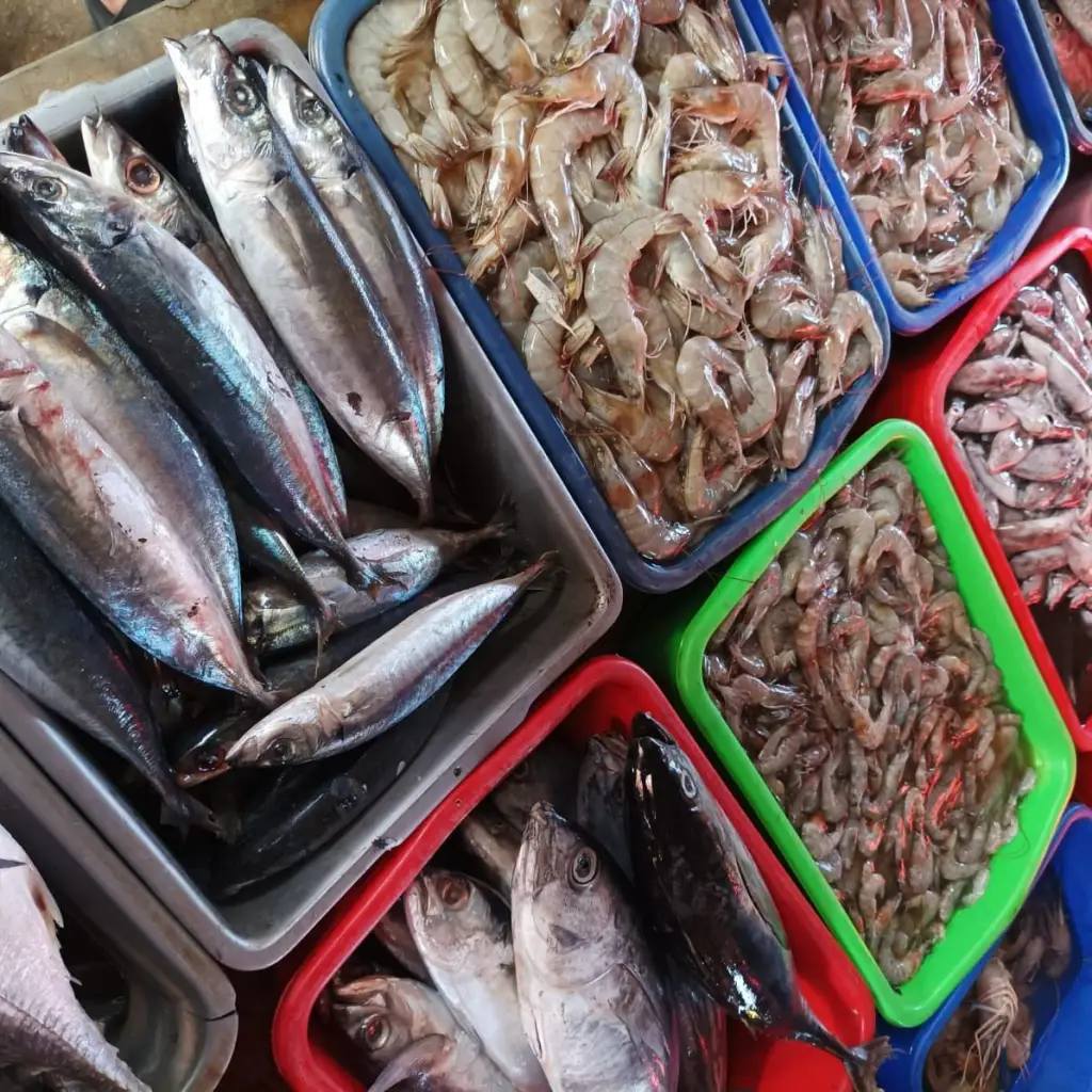 jual ikan laut segar cikarang