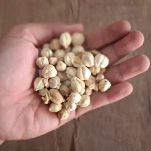 kapulaga 250gr cikfresh cikarang bekasi