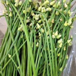 kembang bawang 1 ikat segar cikfresh