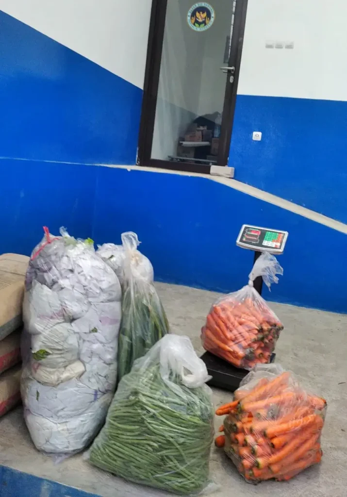 pengiriman sayuran ke mbg cikarang