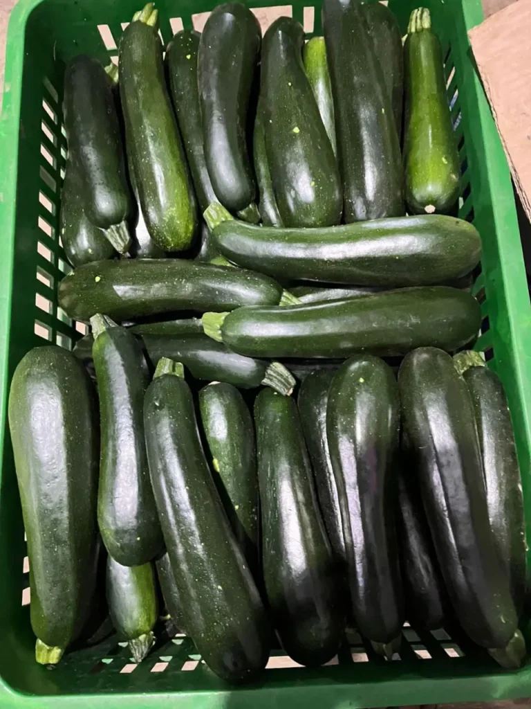 sayuran langka cikarang bekasi fresh