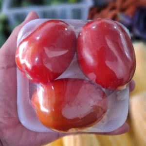 tomat amala 1 pack segar cikfresh