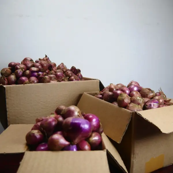 3 cara simpan bawang merah bawang putih agar tidak cepat busuk