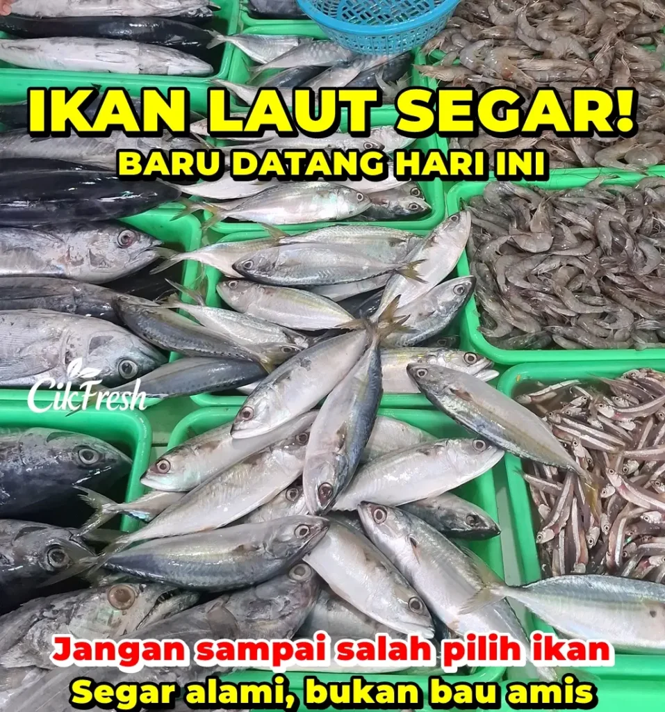 6 cara simpan ikan laut segar