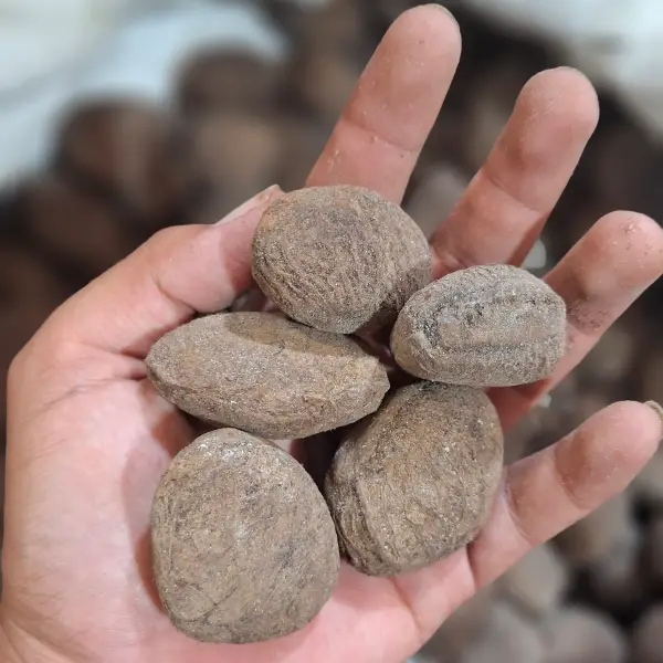 Rempah Bumbu Dapur Cikarang - Bekasi, Solusi Praktis Siap Antar! 1 rempah bumbu dapur online cikarang bekasi siap antar